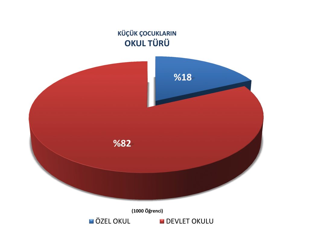 DEMOGRAPHIC DETAILS OF THE STUDY (%)