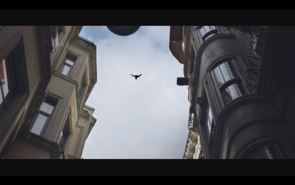 buyuk_odul_film_yeniden-gidersin_blab