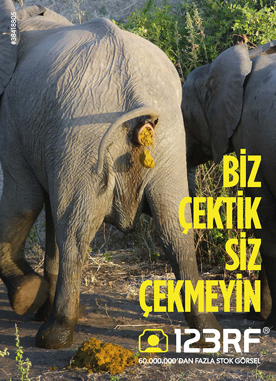 HIZMET-TBWA