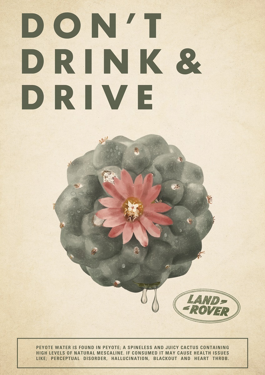 B17-044 04709 PEYOTE