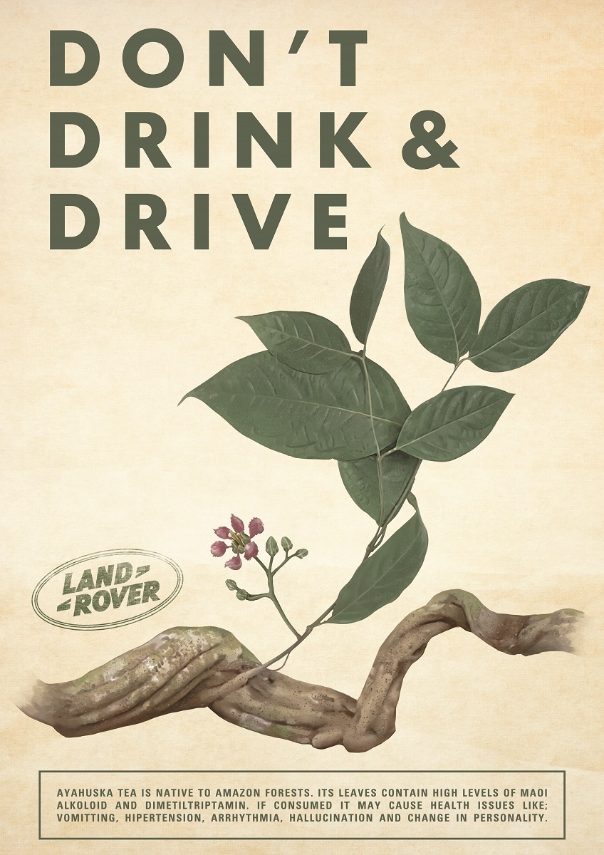 B17-045 04695 AYAHUASCA