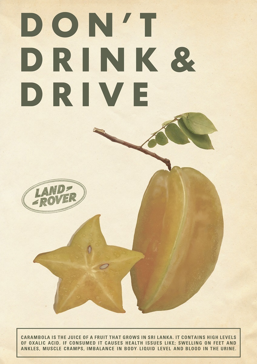 B17-046 04702 CARAMBOLA