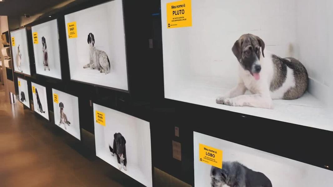 Cannes'da ödül alan en yaratıcı 19 outdoor çalışması pedigree-dog-channel-600-11714