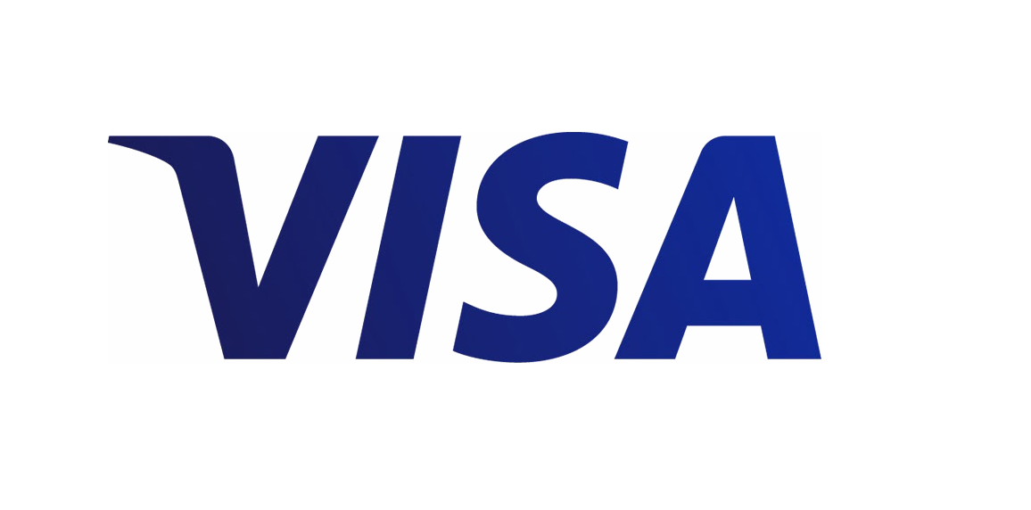 visa_2014_logo_detail