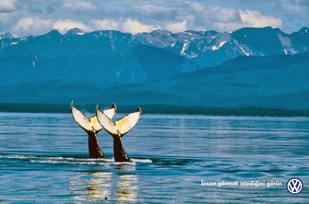 insan_gormek_istedigini_gorur_Balina