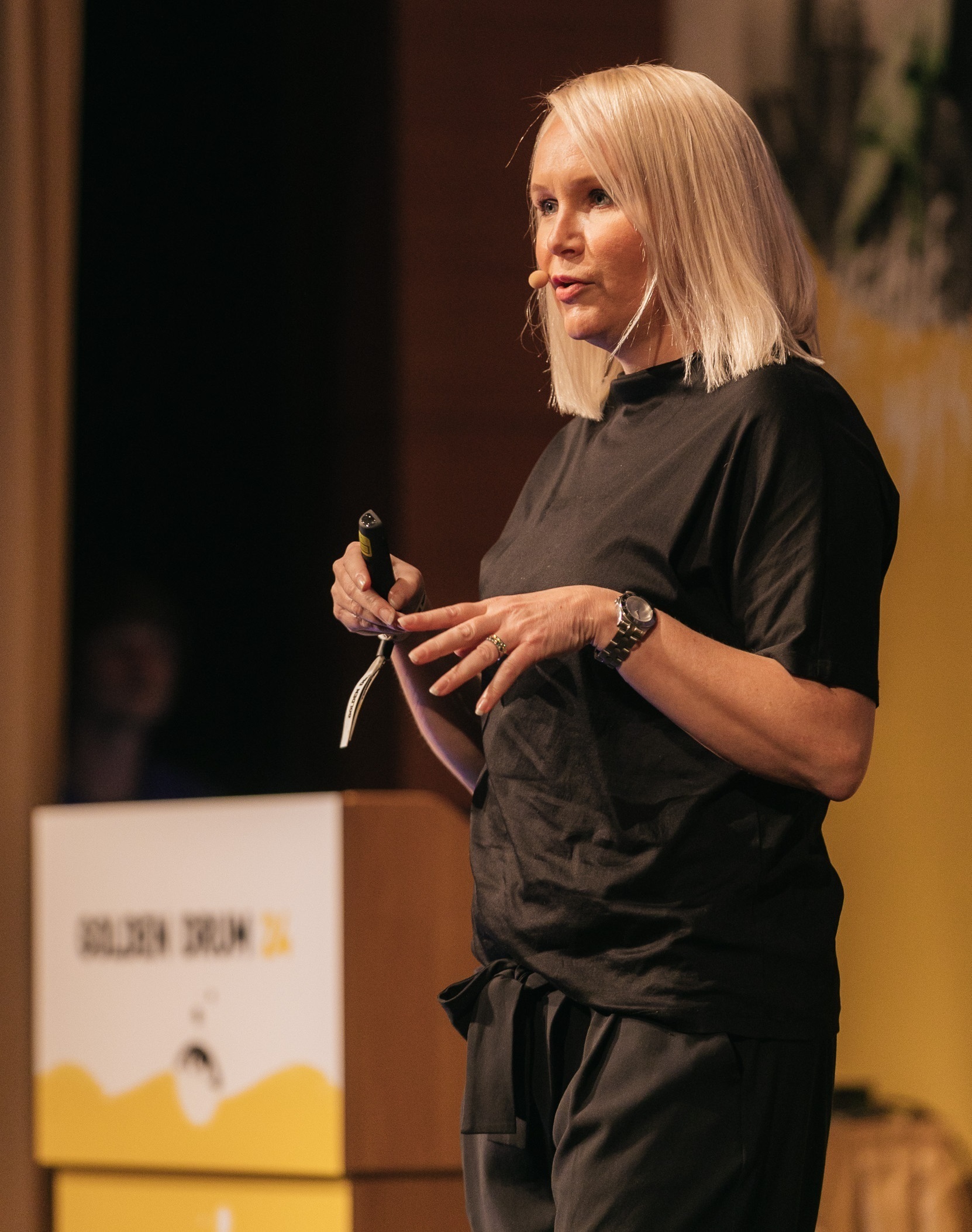 Golden Drum 2017 - Sari Heinilä