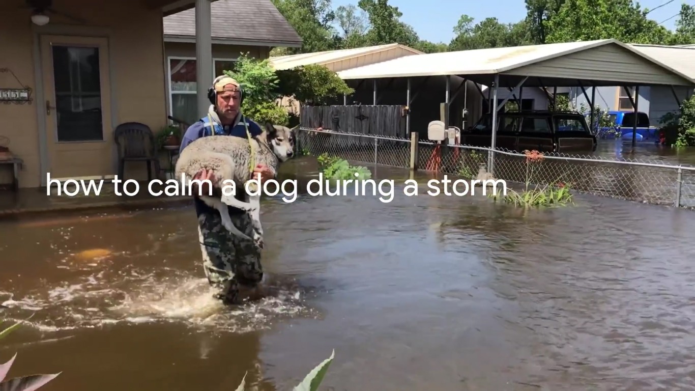 how to calm a dog during storm