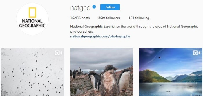 130 yıllık National Geographic nasıl sosyal medya markası oldu? ig1-700x333