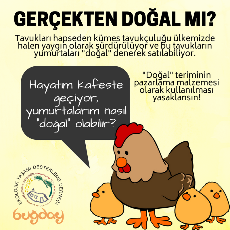 “Doğal teriminin pazarlama malzemesi olarak kullanılması yasaklansın” 1525584605_yumurta