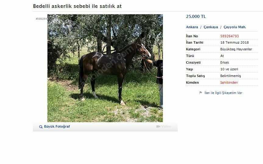 İnek satılık, at satılık! Bedelli askerlik e-ticareti hareketlendirdi Ekran Alıntısı5