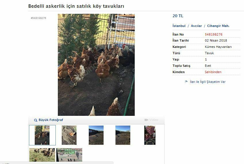 İnek satılık, at satılık! Bedelli askerlik e-ticareti hareketlendirdi Ekran Alıntısı7