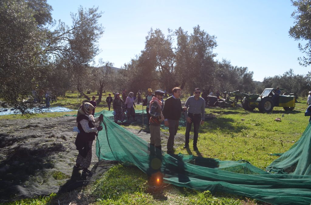 Bugün Japonya’da 2 milyon haneye Komili zeytinyağı satılıyor DSC_0305