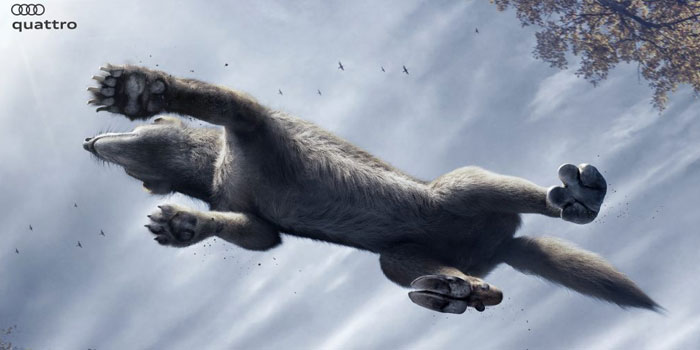 Türkiye 12 çalışmayla Golden Drum kısa listesinde yer aldı wolf