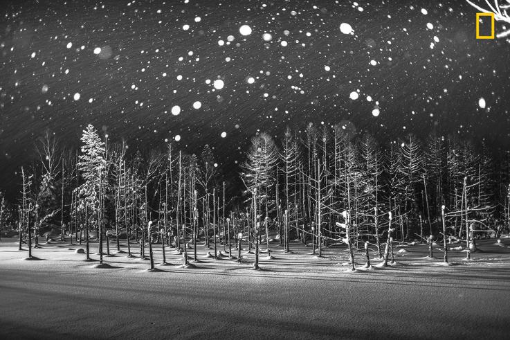 07-ng2018photocontestplaceshonmen