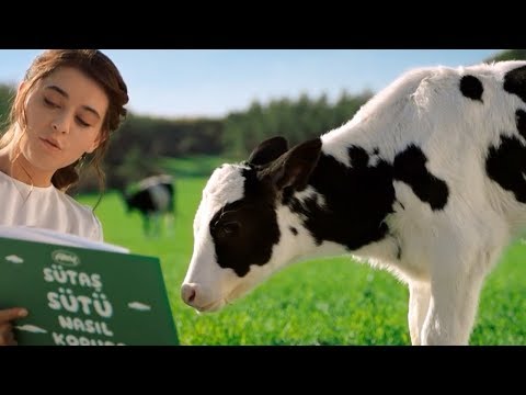 Çiftlikten sofralara güvenle, lezzetle hqdefault