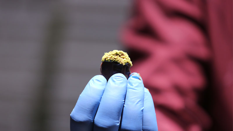 Kahve Dünyası’nın lezzetleri C Level Club’da katılımcılarla buluştu Kahve Dünyası’nın lezzetleri C Level Club’da katılımcılarla buluştu