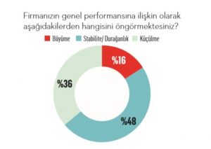 Yeni ekonomi modeli ne kadar başarılı?
