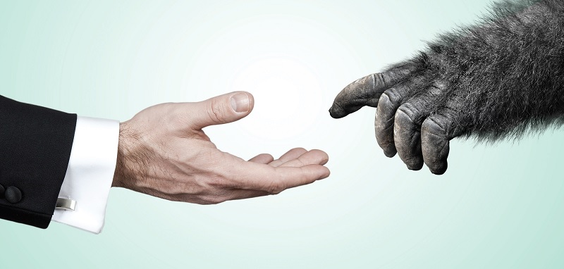 Markanız ne kadar anlamlı? Markanız ne kadar anlamlı?