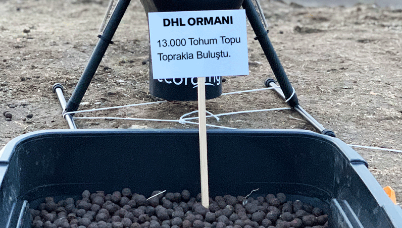 DHL Ormanı Instagram’da büyüyor DHL Ormanı Instagram’da büyüyor