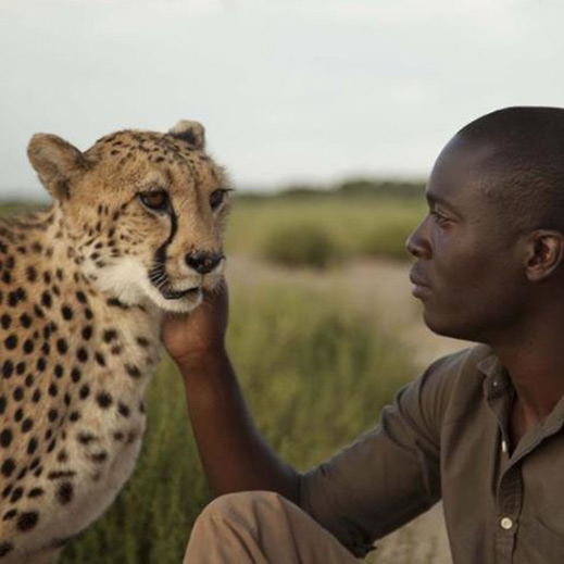 BBC Earth, Türkiye'de yayına başlıyor BBC Earth, Türkiye'de yayına başlıyor