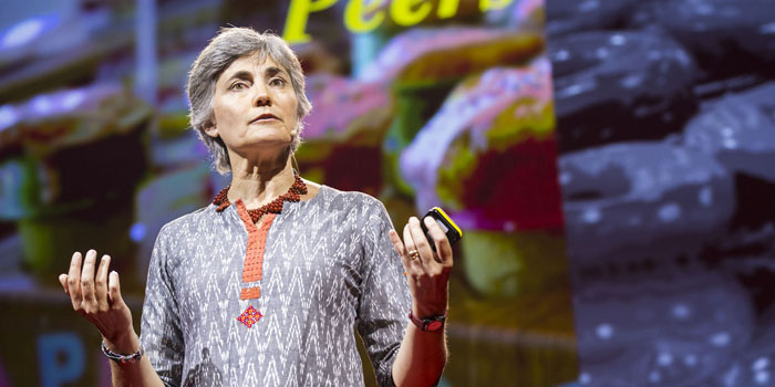 Robin Chase, WRI Türkiye'nin ev sahipliğinde İstanbul'a geliyor! Robin Chase, WRI Türkiye'nin ev sahipliğinde İstanbul'a geliyor!