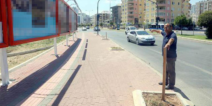 Reklam ajansından ağaç katliamı Reklam ajansından ağaç katliamı