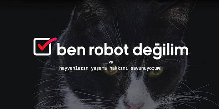 Vestel'den hayvan şiddetine karşı anlamlı kampanya: Ben Robot Değilim Vestel'den hayvan şiddetine karşı anlamlı kampanya: Ben Robot Değilim