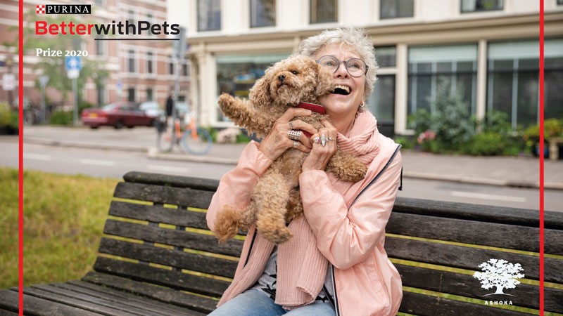 Betterwithpets başvuruları başladı Betterwithpets başvuruları başladı