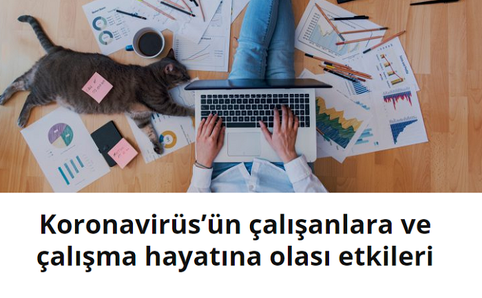 Üst düzey yöneticilerin bilgi platformu nexcmo.com'un öne çıkanları Üst düzey yöneticilerin bilgi platformu nexcmo.com'un öne çıkanları