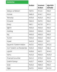 Deloitte araştırdı: Evden çalışma düzeni iş dünyasını nasıl etkiliyor?