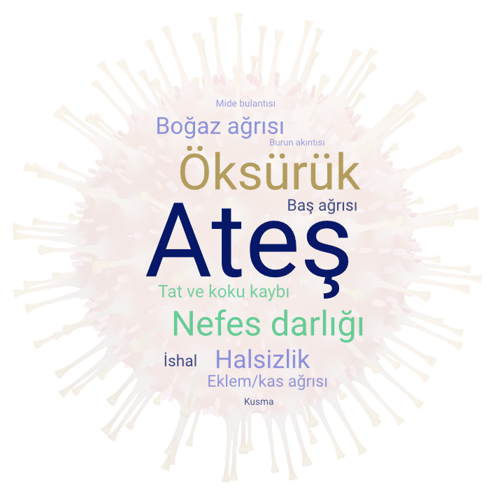 İnsanların koronavirüsle ilgili düşünceleri ve hayat tarzı ne kadar değişti? İnsanların koronavirüsle ilgili düşünceleri ve hayat tarzı ne kadar değişti?