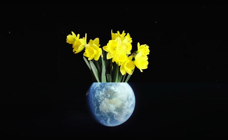 Dünya Çevre Günü kamu spotuna Bill Nye ve Billie Eilish’ten destek