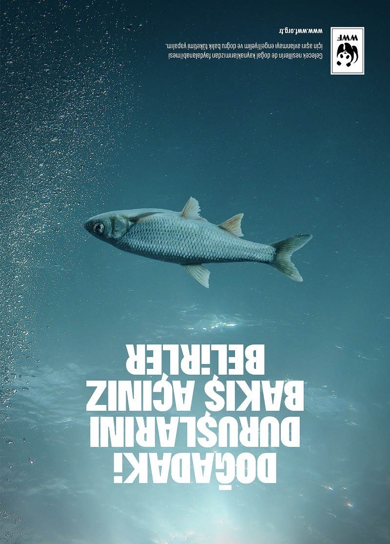 Türkiye’nin ilk ve tek sosyal fayda iletişimi (Goodvertising) yarışması Envy Awards’un ilki gerçekleştirildi...