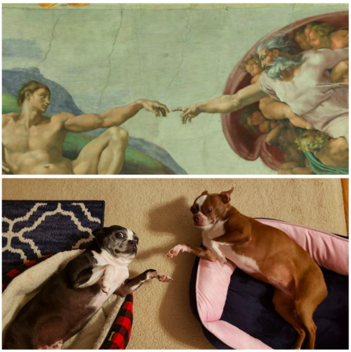 The Getty Museum Challenge kitap oluyor The Getty Museum Challenge kitap oluyor