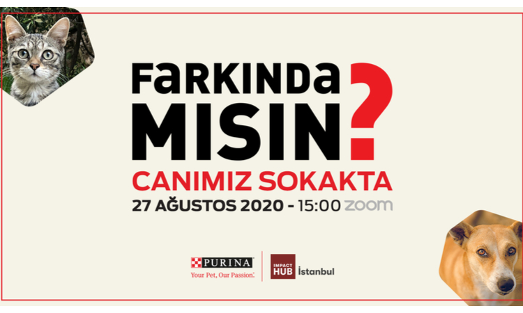 Canımız sokakta, farkında mısın?