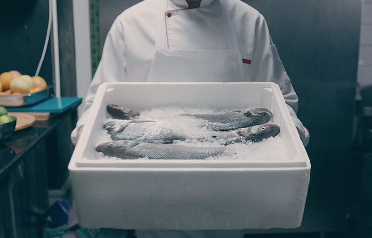 Türk balığı başrolde