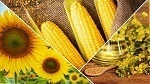 Marketing Türkiye ile 5 dakikada gündeme bakış
