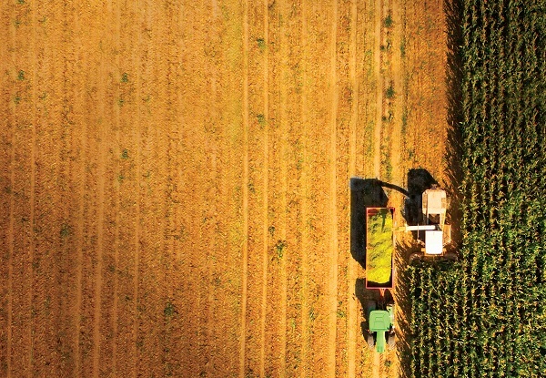 İş hayatında kadın nerede? İş hayatında kadın nerede?
