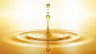 "Zeytinyağına takıntılı şefler"