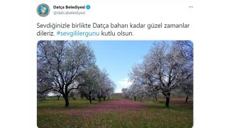 Datça Belediyesi, tweetini 6 bin dolara sattı!