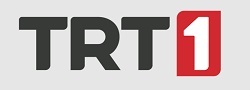 TRT kanalları logolarını yeniledi! TRT kanalları logolarını yeniledi!