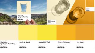 Pantone'dan idrar rengi skalası