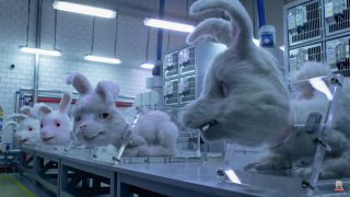 Ralph'in kaderini kaç hayvan paylaşıyor?