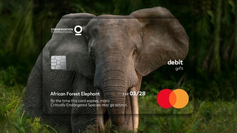 Mastercard geçerlilik tarihi hangi gerçeğe işaret ediyor?