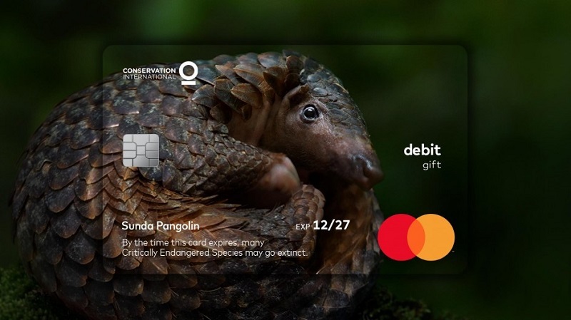 Mastercard geçerlilik tarihi hangi gerçeğe işaret ediyor?