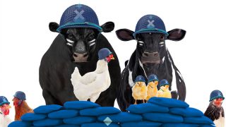 Maxcare'in Türkiye'deki ilk reklam kampanyası yayınlandı