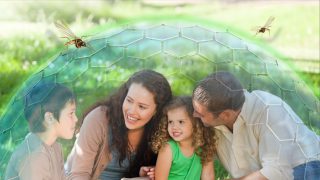 Sineklere karşı sağlam defans!