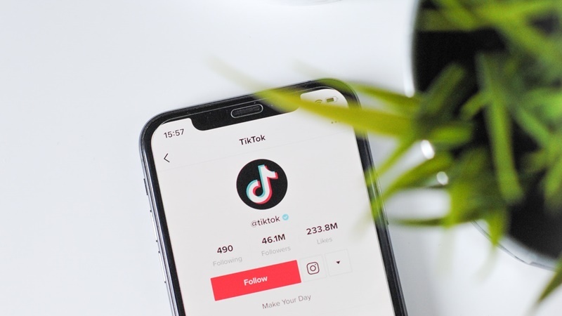 TikTok LinkedIn'e rakip geliyor TikTok resumes