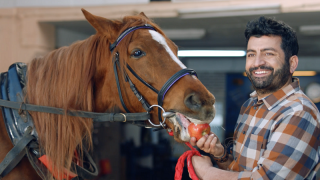 letgo oto+'dan 4 yeni reklam filmi!