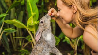 Kozmetik devleri hayvan deneylerinin son bulması için güçlerini birleştirdi!
